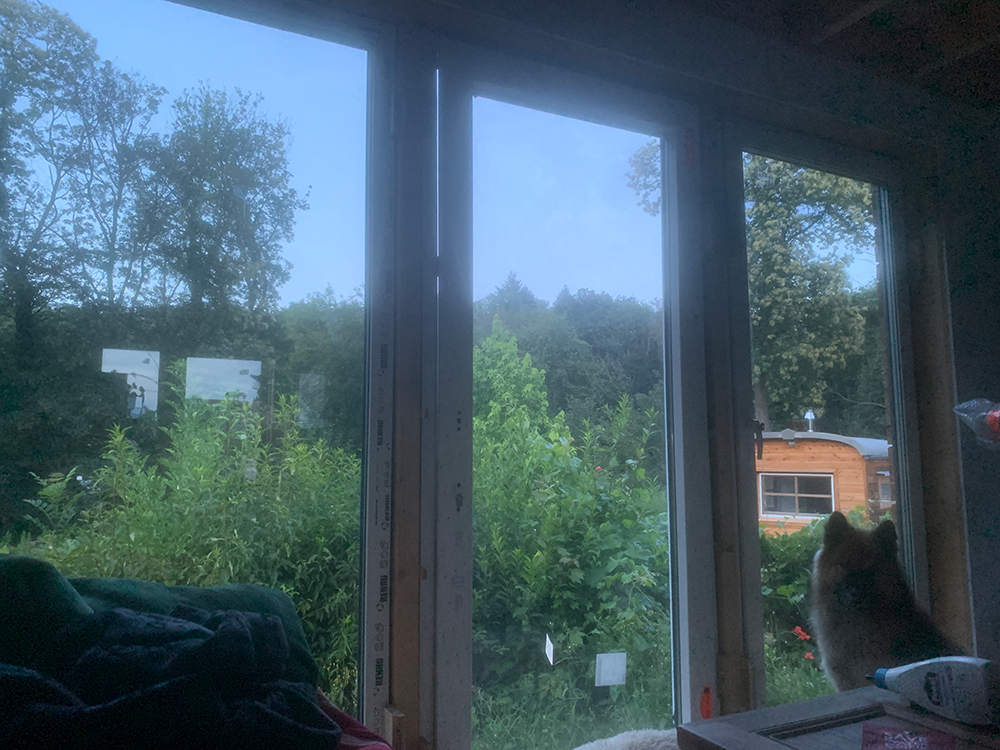 Fenster hinten